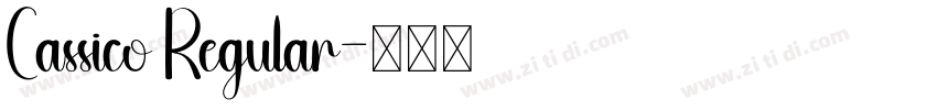 Cassico Regular字体转换